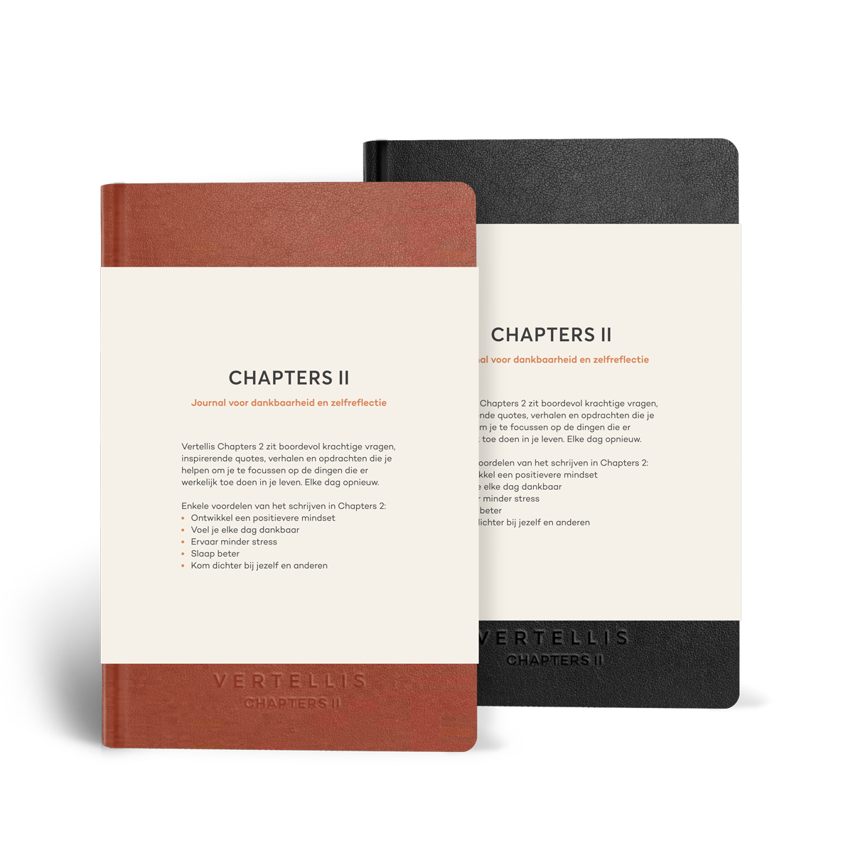 Vertellis Chapters 2