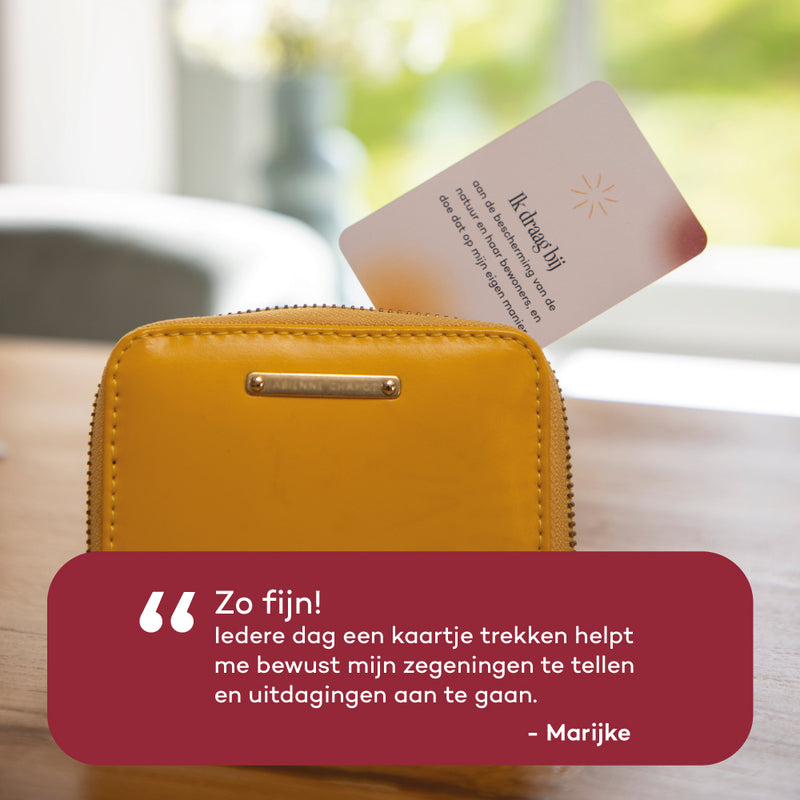 Het Originele 5-Minute Dankbaarheid Journal - Intelligent Change Het Originele 5-Minute Dankbaarheid Journal - Intelligent Change