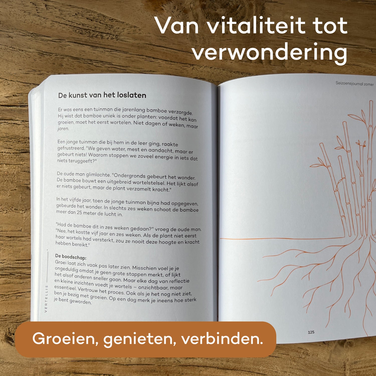 Seizoensjournal Zomer