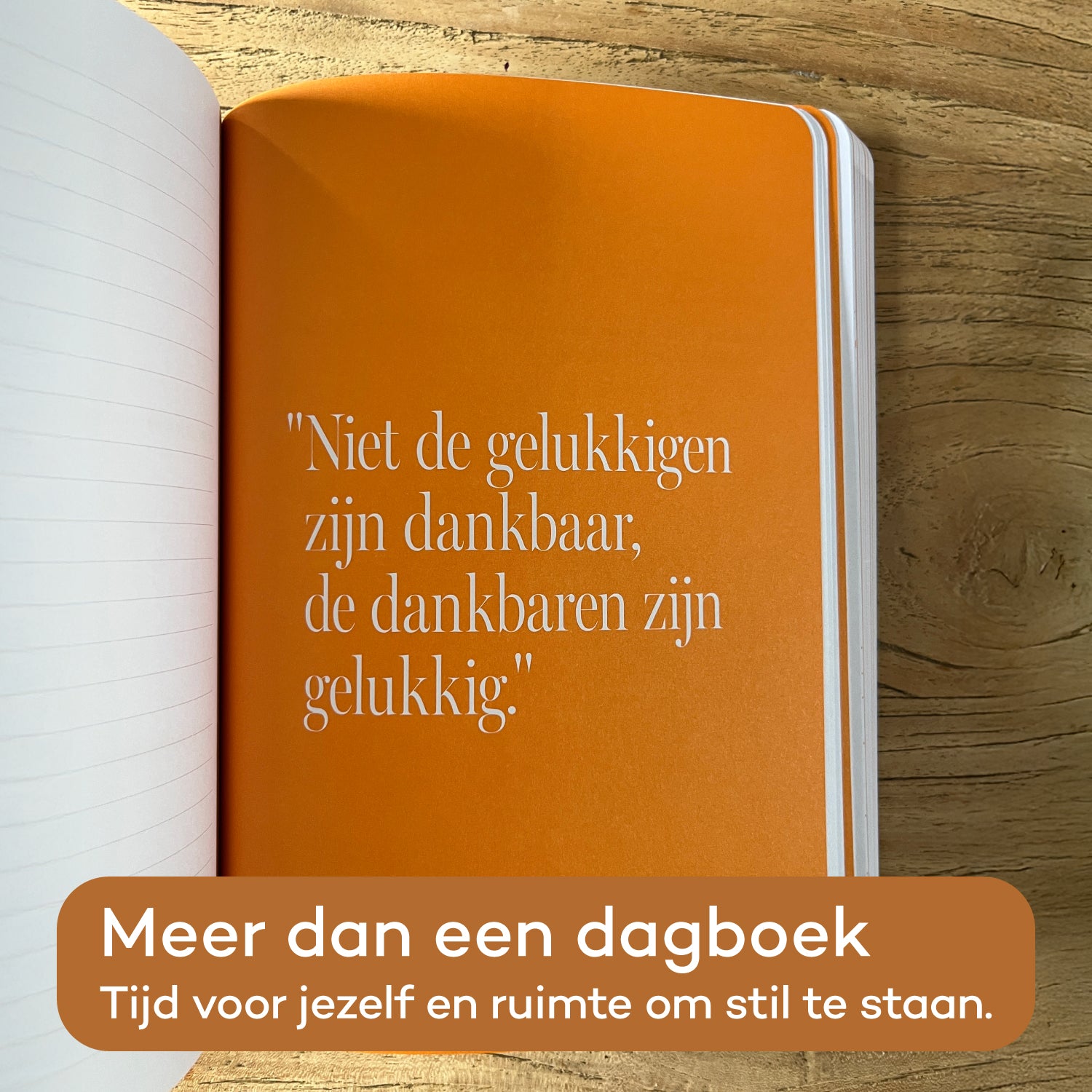 Seizoensjournal Zomer
