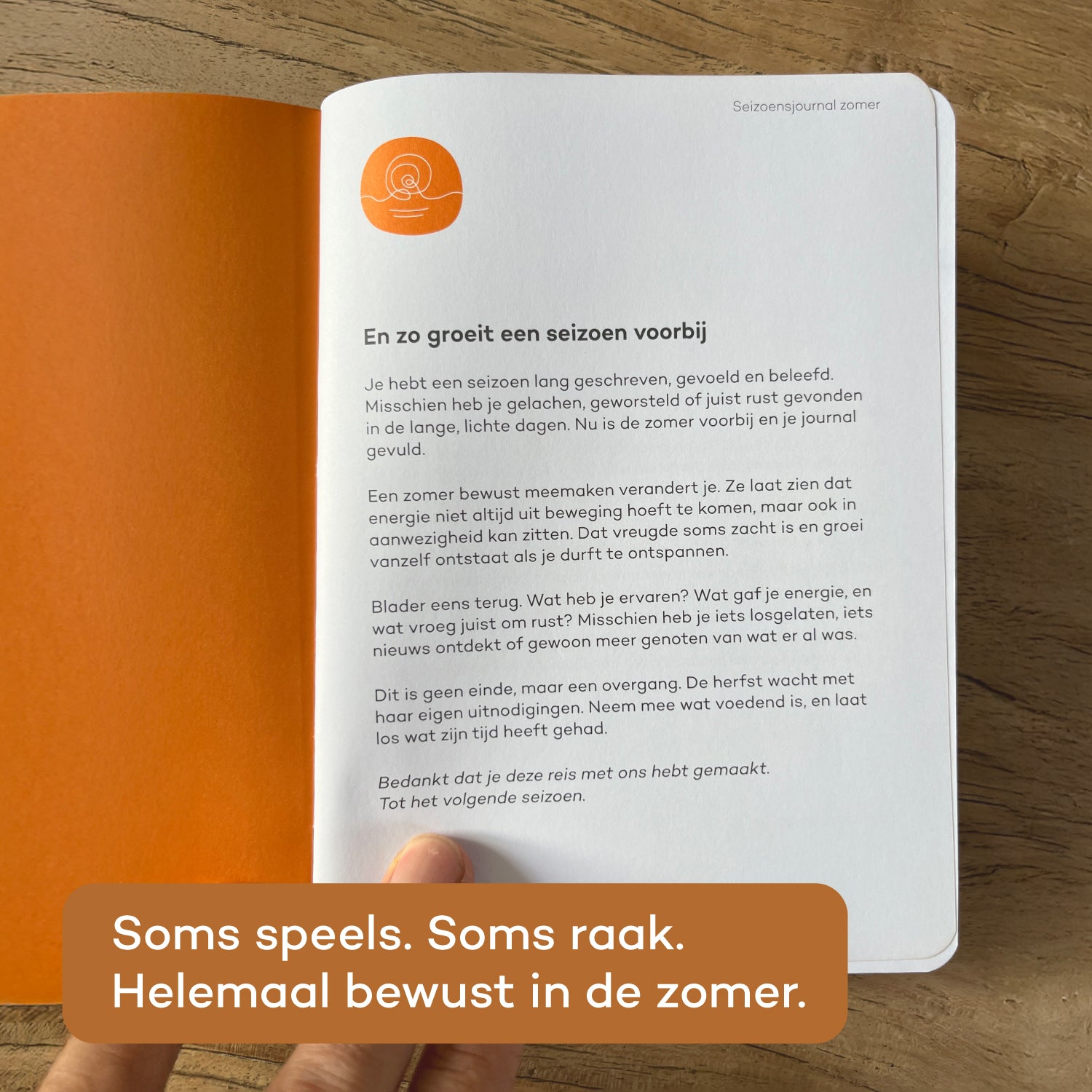 Seizoensjournal Zomer