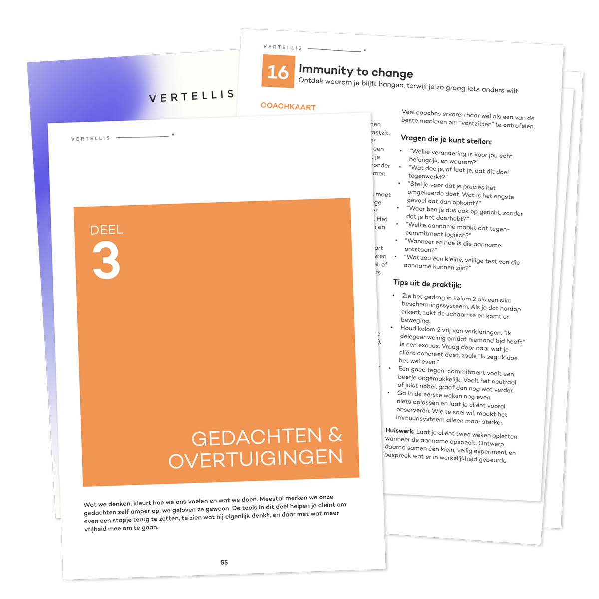 De Vertellis Coachtoolkit, Deel 3 Gedachten & overtuigingen met coachkaart